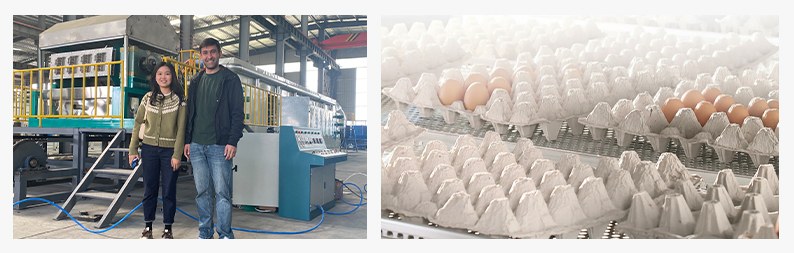 egg tray making machine 