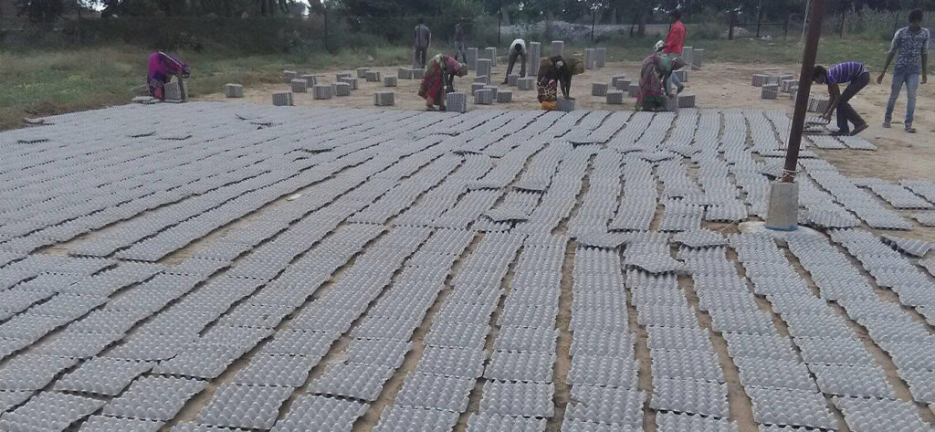 <trp-post-container data-trp-post-id='796'>Small Manual Egg Tray Making Machine</trp-post-container>（images 4）