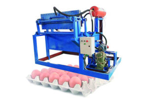 XUYE egg tray machine in Africa