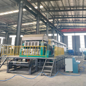 XUYE egg tray machine video
